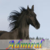 :iconred-admiral: