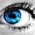 :iconred-dawn-rises: