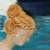 :iconred-dragon-lady: