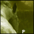 :iconred-electric: