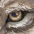 :iconred-eyeswolf:
