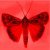 :iconred-moth: