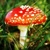 :iconred-mushroom: