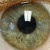 :iconred-pierrot-13-gamma: