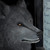 :iconred-raivo: