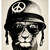 :iconred-robe: