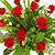:iconred-rose-concoction: