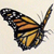 :iconred-sandals: