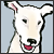 :iconred-space: