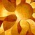 :iconred-special00: