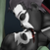 :iconred-tora: