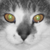 :iconRed-wolf-Inc: