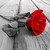 :iconred0roses0: