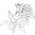:iconredaer636xt: