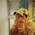:iconredapple1313: