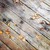 :iconredautumn102088: