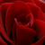 :iconredbaronessth3: