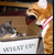 :iconredcatbluecat: