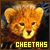 :iconreddeath42: