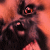 :iconreddogranch: