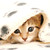 :iconredfairyme: