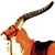 :iconredfaun: