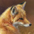 :iconredfox2956: