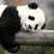 :iconredg09: