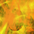 :iconredgy: