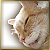 :iconredjaybird: