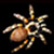 :iconredkneetarantula: