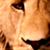 :iconRedLcd: