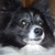 :iconredmoose24: