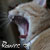 :iconredmountiandew: