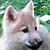 :iconredninjaassassin: