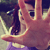 :iconredonyou: