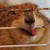 :iconredordead22: