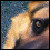 :iconredraven-designs:
