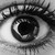 :iconredrose168: