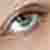 :iconredrosesara: