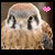 :iconredrovernight: