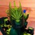 :iconredrumyum: