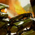 :iconredshod: