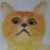 :iconredstarcat: