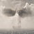 :iconredStevO: