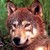 RedthePuppy :iconredthepuppy:
