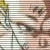 :iconredthunderzx2: