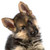 :iconredtracer: