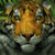 RedVanda :iconredvanda: