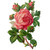 :iconredvirgo: